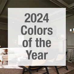 Colors of the Year 2024