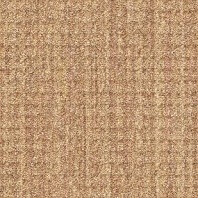 DuraWeave Elite Roher loop carpet in Hidden Treasure color available at ProSource Wholesale