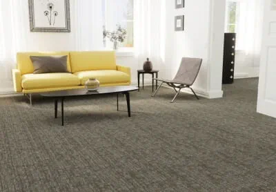 Resista 3.0 carpet, available at ProSource Wholesale, will not fade or bleach out from spot cleaning