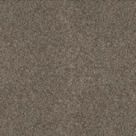 Resista Plus H2O Lucaya Best carpet in Shortbread color available at ProSource Wholesale