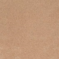 Tigressa Cherish Stemmons II S Solid texture carpet in Desert Wave color available at ProSource Wholesale