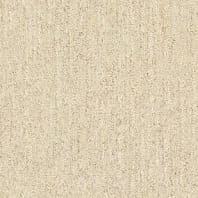 DuraWeave Elite Chutney loop carpet in Shoreline color available at ProSource Wholesale