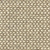 Fabrica Point of View pattern carpet in Merit color available at ProSource Wholesale