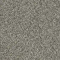 Resista Plus H2O carpet Lucaya Better available at ProSource Wholesale