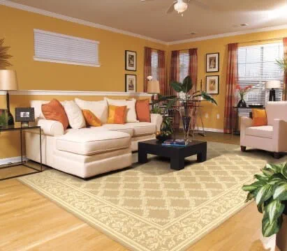 Stylish yellow area rug shown in a living room