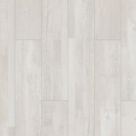 COREtec Coretec - The Naturals engineered vinyl plank in Sand color available at ProSource Wholesale
