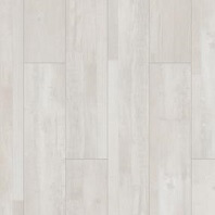 COREtec Coretec - The Naturals engineered vinyl plank in Sand color available at ProSource Wholesale