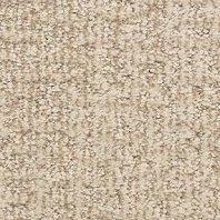 Dixie Home Aspects pattern carpet in Insightful color available at ProSource Wholesale