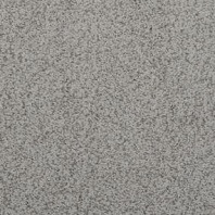 Dixie Home Soft and Silky texture carpet in Balsam color available at ProSource Wholesale