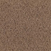 DuraWeave Drury Fleck texture carpet in Spice Cake color available at ProSoure Wholesale