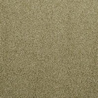 DuraWeave Elite Macklind frieze carpet in Riff color available at ProSource Wholesale