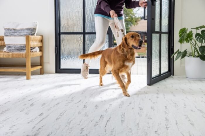 H2O waterproof flooring products at ProSource Wholesale are pet-friendly