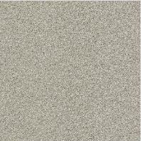Resista Plus H2O Buffer Best waterproof carpet available at ProSource Wholesale