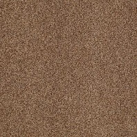 Tigressa Cherish Hayslip texture waterproof carpet in Golden Gate color available at ProSource Wholesale
