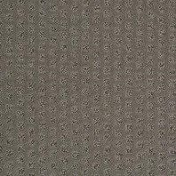 Tigressa Cherish Zero Calories pattern waterproof carpet in Birch Branch color available at ProSource Wholesale
