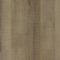 Harding Reserve H2O Castine luxury vinyl plank in Cinnamon color available at ProSource Wholesale