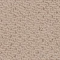 Innovia Tyseley pattern carpet in Steambath color available at ProSource Wholesale