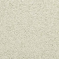Masland Corniche berber carpet in Patina color available at ProSource Wholesale