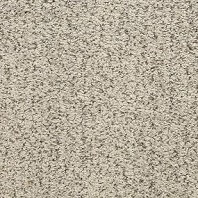 Masland Seagrass loop carpet in Storm Cloud color available at ProSource Wholesale