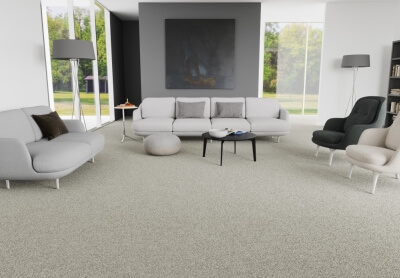 Resista 3.0 carpet, available at ProSource Wholesale, resists staining from food, beverages, soil/mud, pets and more