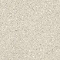 Resista Plus H2O A-OK texture waterproof carpet in Blondie color available at ProSource Wholesale