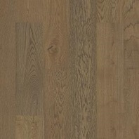 Resista Plus H2O hardwood Beech Mountain in Rainer color available at ProSource Wholesale