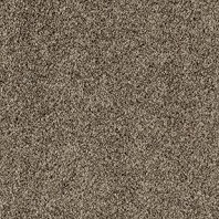 Resista Soft Style Fetching texture carpet in Manor Brown color available at ProSource Wholesale