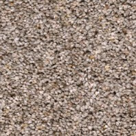 Resista Soft Style Furley Best texture carpet in Parkland color available at ProSource Wholesale