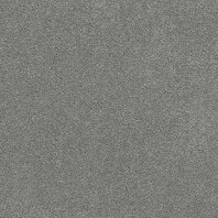 Resista Soft Style Warm Cider Best texture carpet in Priority color available at ProSource Wholesale