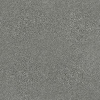 Resista Soft Style Warm Cider Best texture carpet in Priority color available at ProSource Wholesale