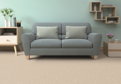 Resista Soft Style carpet, available at ProSource Wholesale, has outstanding durability