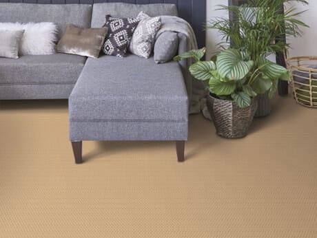 Resista Soft Style carpet, available at ProSource Wholesale, offers reassuring toughness