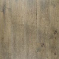 RevWood Plus Southbury waterproof laminate in French Beige color available at ProSource Wholesale