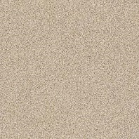 Somerset House Giddy loop carpet in Tranquil color available at ProSource Wholesale