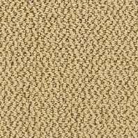 Somerset House Millville pattern carpet in Attitude color available at ProSource Wholesale