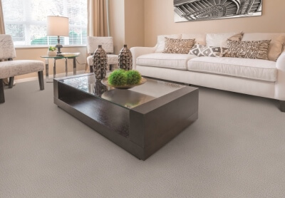 Somerset House carpet, available at ProSource Wholesale, offers superior construction