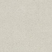 Tigressa Cherish Essas pattern carpet in Pearl color available at ProSource Wholesale