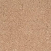 Tigressa Cherish Stemmons II S Solid texture carpet in Desert Wave color available at ProSource Wholesale