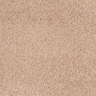 Tigressa Soft Style Caldera Best frieze carpet in Caravan color available at ProSource Wholesale