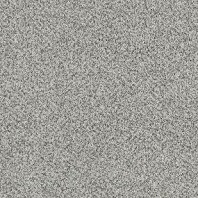 Tigressa Soft Style Hankering Best 12 frieze carpet in Iron Gate color available at ProSource Wholesale