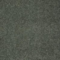 Tigressa Soft Style Raiden Best texture carpet in Beanstalk color available at ProSource Wholesale