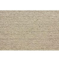 Stanton Alta carpet in Fog color available at ProSource Wholesale