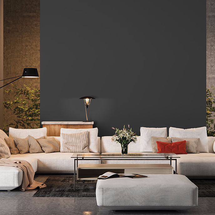2018 Olympic Paint Color of the Year: Black Magic