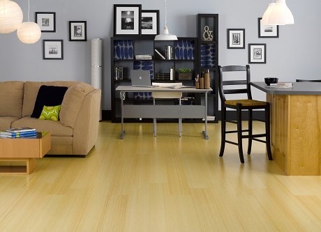 ProSource Wholesale flooring options go to guide - environmentally safe floors 2