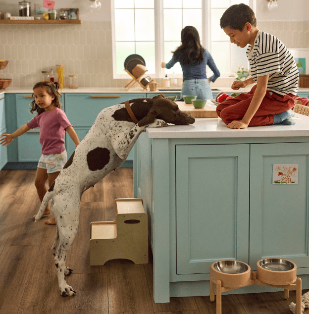A family and family dog living life in their kitchen on beautiful flooring provided by Shaw Floors.