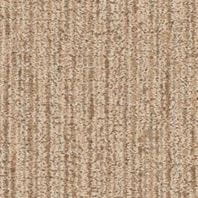 Neutral toned textured carpet