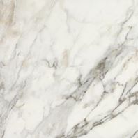 Marazzi Cafe ceramic tile with a warm cafe-brown color and smooth matte surface shown as a flat tile sample.