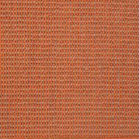 Masland Chipotle pattern carpet with layered texture and warm reddish-brown tonal variation.