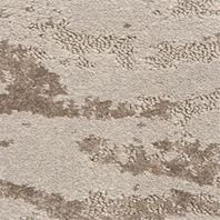 Masland Paws pattern carpet with an abstract organic pattern and playful tonal variation.