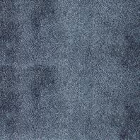 Stanton Midnight Blue carpet featuring a rich deep blue tone and a plush cut-pile texture with subtle surface shading.